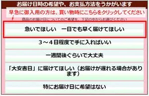 「お届けのご希望」欄で「急いでほしい　1日でも早くほしい」を選んでください